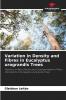 Variation in Density and Fibres in Eucalyptus urograndis Trees