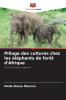 Pillage des cultures chez les éléphants de forêt d'Afrique