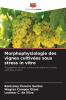 Morphophysiologie des vignes cultivées sous stress in vitro