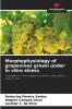 Morphophysiology of grapevines grown under in vitro stress