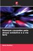 Doenças causadas pelo stress oxidativo e a via Nrf2