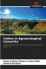 Cotton in Agroecological Consortia