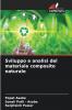 Sviluppo e analisi del materiale composito naturale