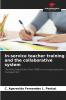 In-service teacher training and the collaborative system
