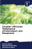 Zingiber officinale