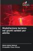 Modellazione termica nei giunti saldati per attrito
