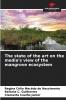 The state of the art on the media's view of the mangrove ecosystem