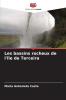 Les bassins rocheux de l'île de Terceira