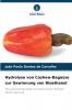 Hydrolyse von Cashew-Bagasse zur Gewinnung von Bioethanol