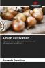Onion cultivation