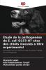 Étude de la pathogenèse de E. coli O157