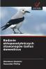 Badanie ektopasożytniczych stawonogów Gallus domesticus