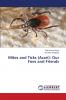 Mites and Ticks (Acari)
