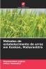 Métodos de estabelecimento do arroz em Konkan Maharashtra