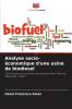 Analyse socio-économique d'une usine de biodiesel