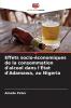 Effets socio-économiques de la consommation d'alcool dans l'État d'Adamawa au Nigeria