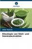 Rheologie von Obst- und Gemüseextrakten