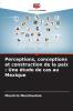 Perceptions conceptions et construction de la paix