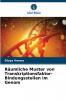 Räumliche Muster von Transkriptionsfaktor-Bindungsstellen im Genom