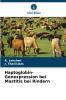 Haptoglobin-Genexpression bei Mastitis bei Rindern