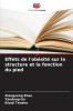 Effets de l'obésité sur la structure et la fonction du pied