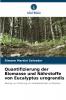 Quantifizierung der Biomasse und Nährstoffe von Eucalyptus urograndis