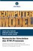 Numerische Simulation des RTM-Prozesses