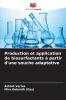 Production et application de biosurfactants à partir d'une souche adaptative