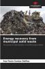 Energy recovery from municipal solid waste