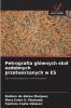 Petrografia głównych skał ozdobnych przetwarzanych w ES