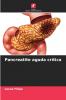 Pancreatite aguda crítica