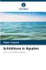 Schildläuse in Ägypten