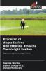 Processo di degradazione dell'erbicida atrazina Tecnologia Fenton