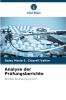 Analyse der Prüfungsberichte