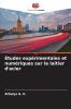 Études expérimentales et numériques sur le laitier d'acier