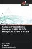 Guida all'ecosistema Hadoop YARN NoSQL MongoDB Spark e Scala