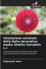 Valutazione varietale della Dalia decorativa media (Dahlia Variabilis L.)