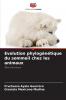 Evolution phylogénétique du sommeil chez les animaux
