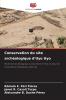 Conservation du site archéologique d'Uyo Uyo