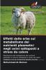 Effetti delle erbe sul metabolismo dei nutrienti plasmatici negli ovini sottoposti a stress da calore
