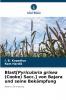 Blast[Pyricularia grisea (Cooke) Sacc.] von Bajara und seine Bekämpfung