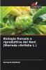 Biologia floreale e riproduttiva del Noni (Morinda citrifolia L.)