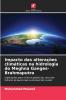 Impacto das alterações climáticas na hidrologia do Meghna Ganges-Brahmaputra