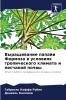 Выращивание папайи Формоза в условиях тропического климата и песчаной почвы