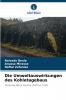 Die Umweltauswirkungen des Kohletagebaus