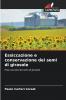 Essiccazione e conservazione dei semi di girasole