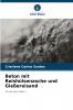 Beton mit Reishülsenasche und Gießereisand