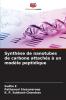 Synthèse de nanotubes de carbone attachés à un modèle peptidique