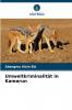 Umweltkriminalität in Kamerun