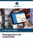 Management der Lieferkette